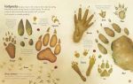 Woodland Book spread