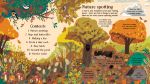 Look Inside Nature spread