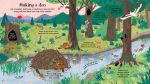 Look Inside Nature spread