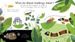 First Questions and Answers: How Do Animals Talk? spread