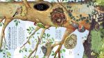 Look Inside Animal Homes spread