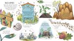 Look Inside Animal Homes spread