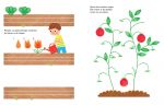 Dessine avec des tampons Le jardin page intérieure