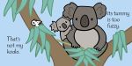 That's not my koala... spread