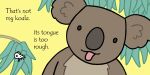 That's not my koala... spread