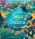 Look Inside Seas and Oceans book cover