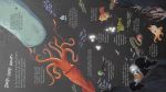Look Inside Seas and Oceans spread