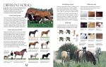 Complete Book of Riding & Ponycare spread