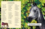 Complete Book of Riding & Ponycare spread