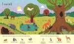 Lift-the-Flap Nature spread