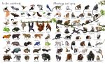 1000 Animals spread
