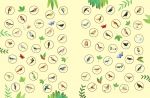 Birds to Spot spread