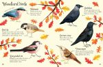 Birds to Spot spread