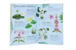 Flowers to Spot spread