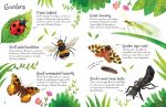 Bugs to Spot spread