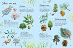 Trees to Spot spread