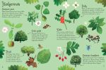 Trees to Spot spread