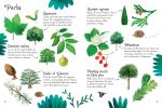 Trees to Spot spread