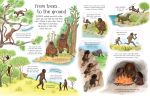 See Inside Evolution spread