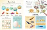 Nature Activity Book spread