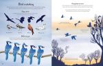 Nature Activity Book spread