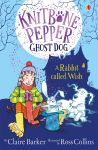 A Rabbit Called Wish book cover