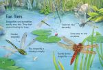 Ponds spread