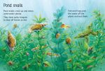 Ponds spread