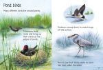 Ponds spread