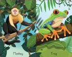 Jungle Snap spread
