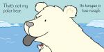 That's not my polar bear… spread