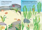 L'aquarium page intérieure