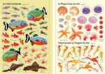 L'aquarium page intérieure