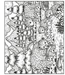 Les animaux page intérieure