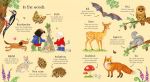 Poppy and Sam's Nature Spotting Book spread