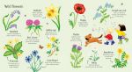 Poppy and Sam's Nature Spotting Book spread