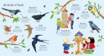 Poppy and Sam's Nature Spotting Book spread
