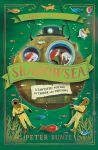 Shadowsea book cover