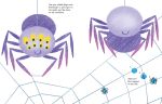 Fingerprint Activities Bugs spread