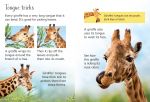 Giraffes spread