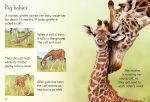 Giraffes spread