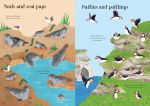 Little First Stickers Seashore spread