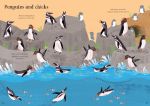 Little First Stickers Seashore spread