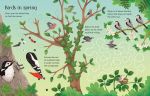 Wipe-Clean Woodland Activities spread