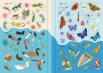 Sparkly Summer Sticker Book spread