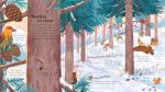 Look Inside the Woods spread