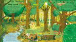 Look Inside the Woods spread