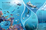 See Inside Oceans spread