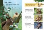 Sloths spread
