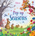 Pop-Up Seasons book cover